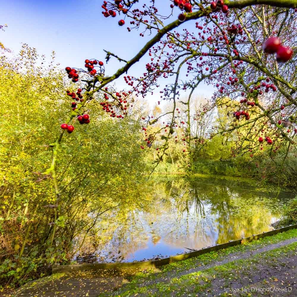 Spanbroekmolen Mine Crater — Belgium, Western Europe