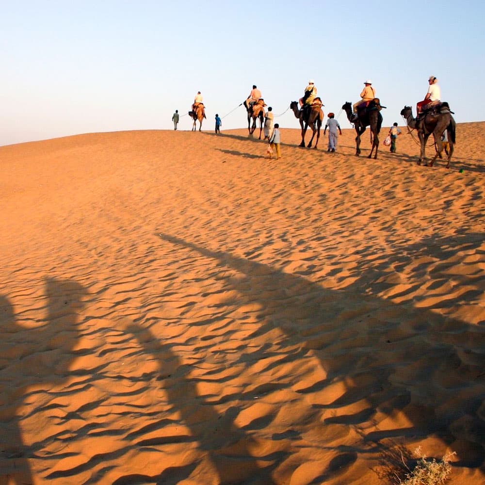 Bikaner Camel Safari — India, Asia
