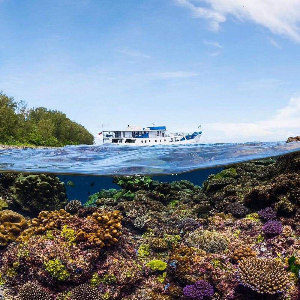 Bilikili Cruises — Solomon Islands, Oceania