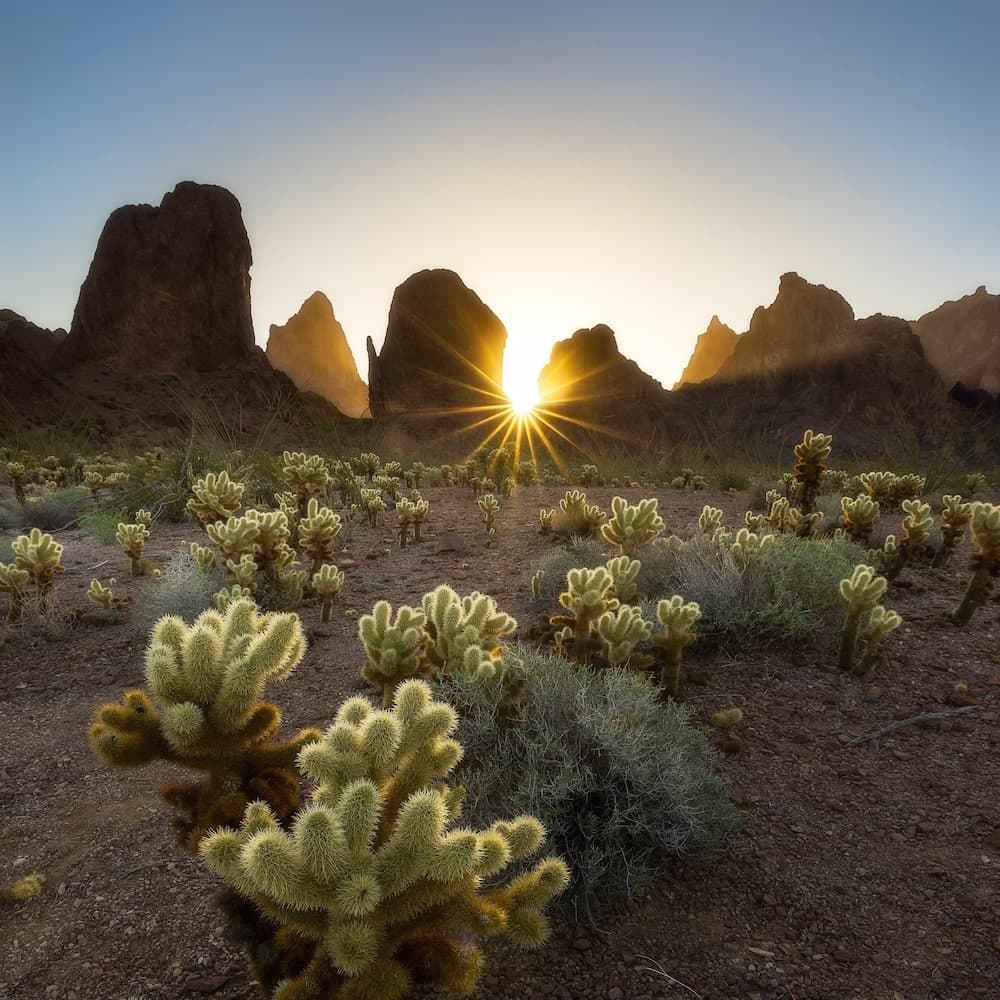 Kofa National Wildlife Refuge — 