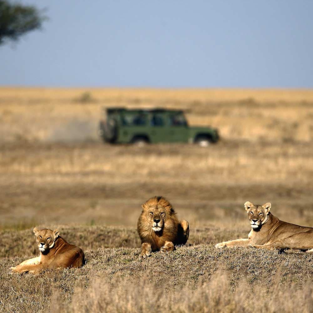 Ngorongoro Conservation Area — 
