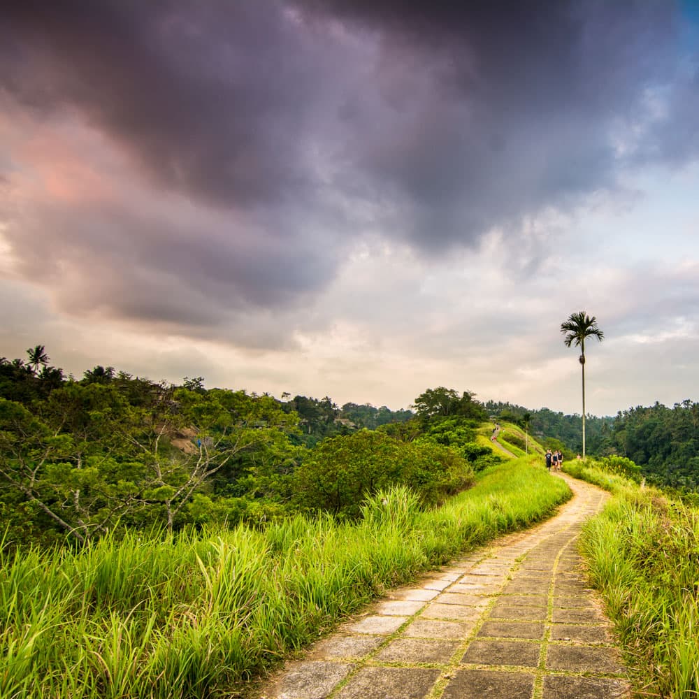 Campuhan Ridge — 