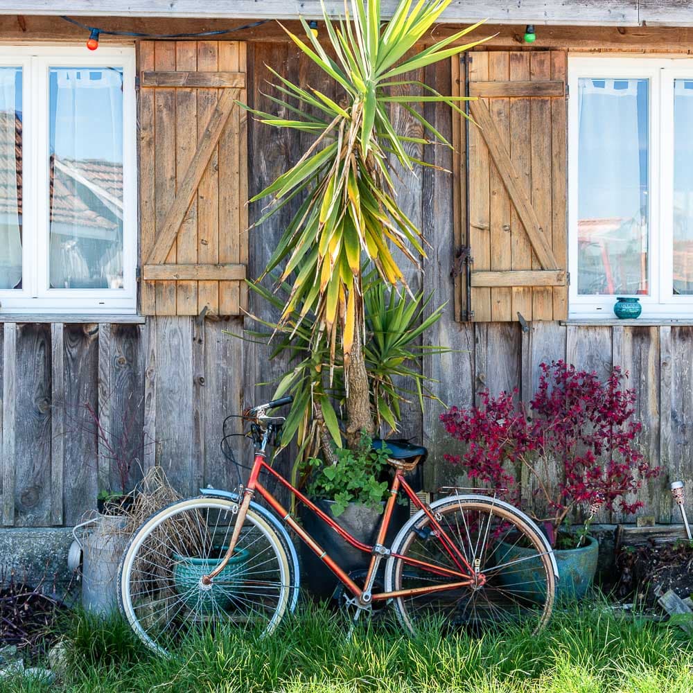 Cap Ferret — 