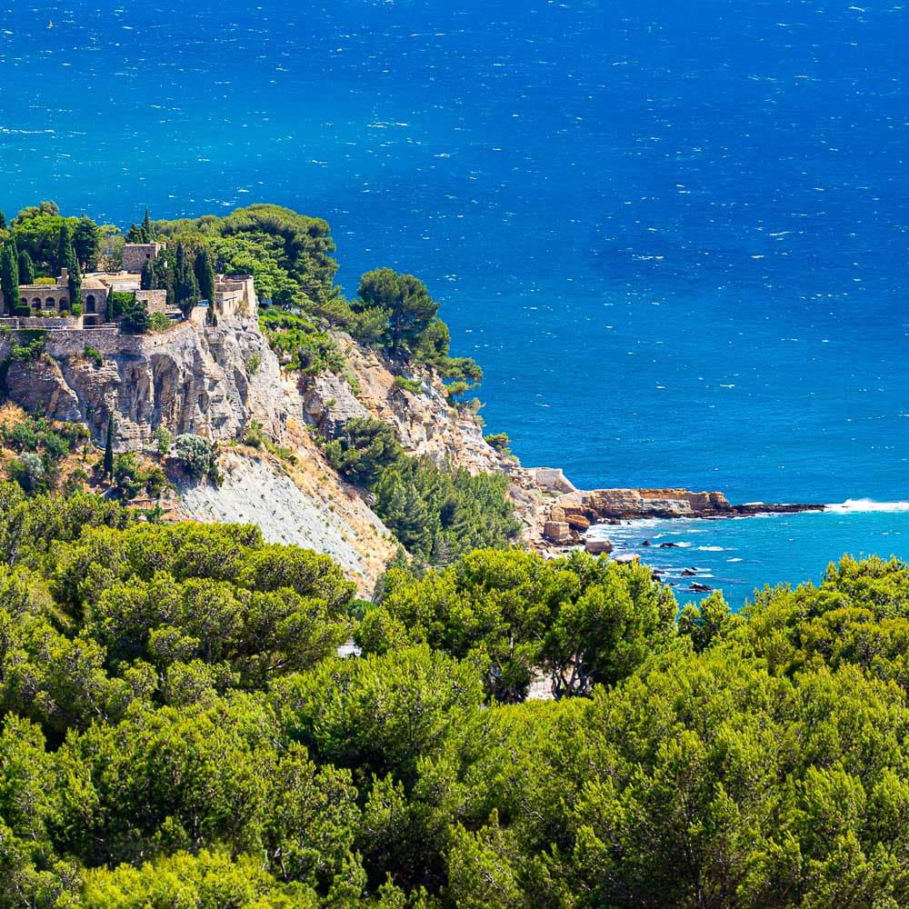 Cassis — 