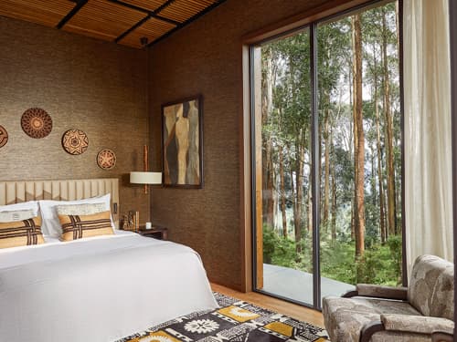 Ingagi Suite