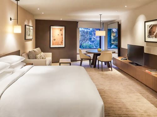 1 King Bed