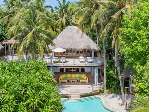Jungle Reserve