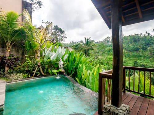 Jungle Pool Villas