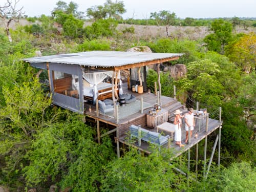 Kingston Treehouse