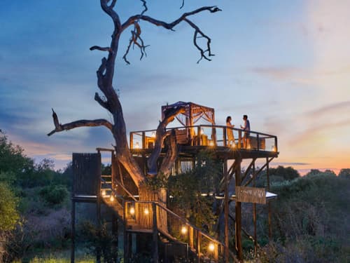 Chalkley Treehouse