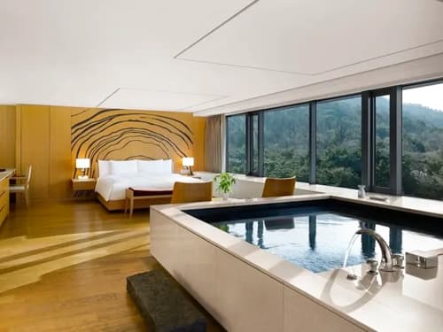 Deluxe Pool Namsan View