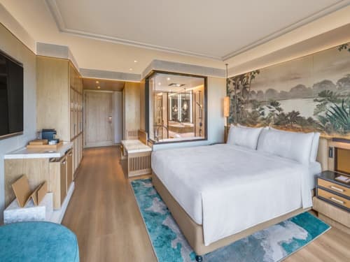 Luxury Room