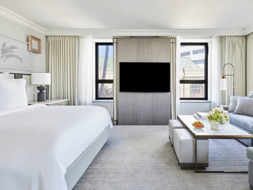 Rodeo-View Studio Suite