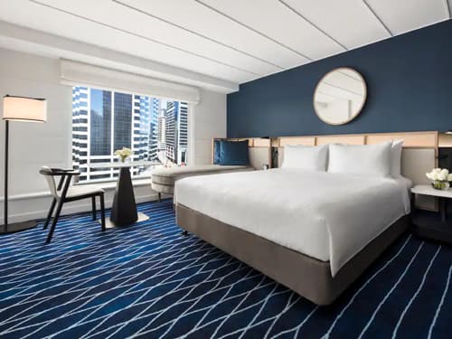 1 King Bed