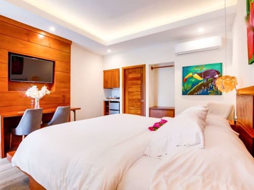 One Bedroom Boutique Room