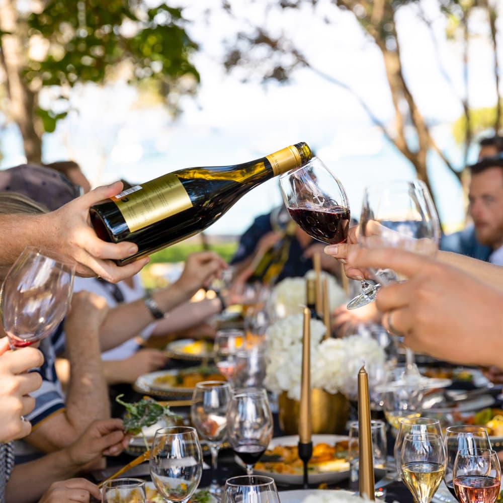 Man O'War Vineyards, Waiheke Island — Auckland, North Island, New Zealand, Oceania