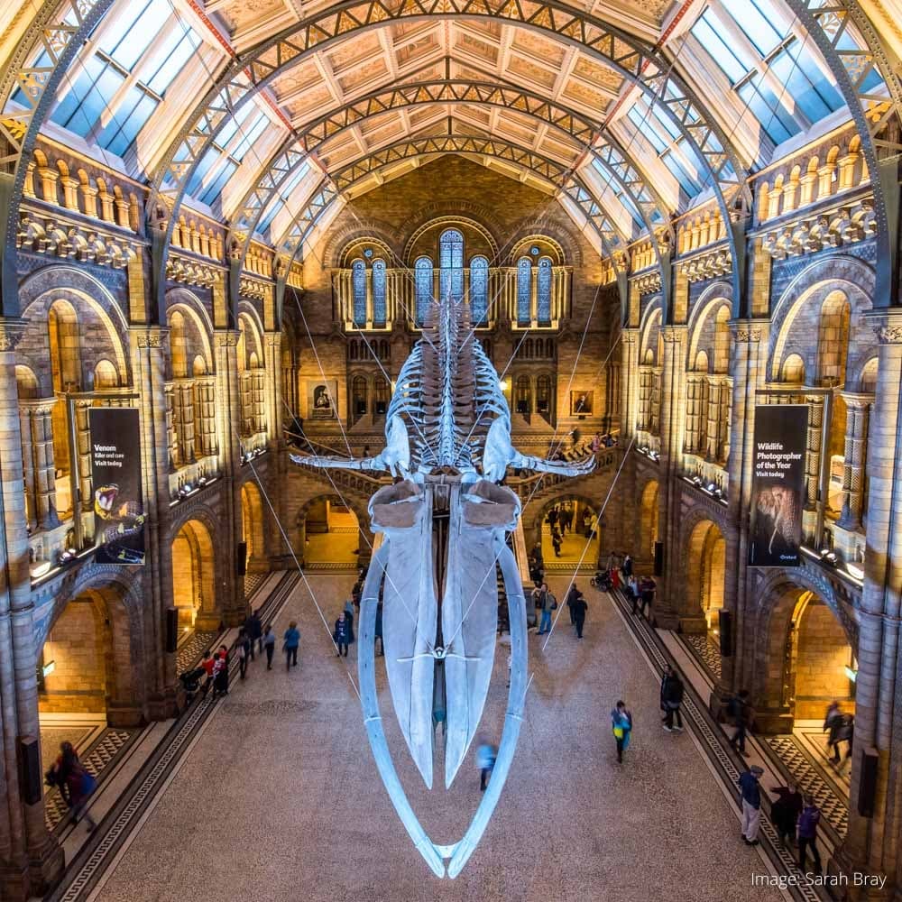 Natural History Museum — London, England, United Kingdom