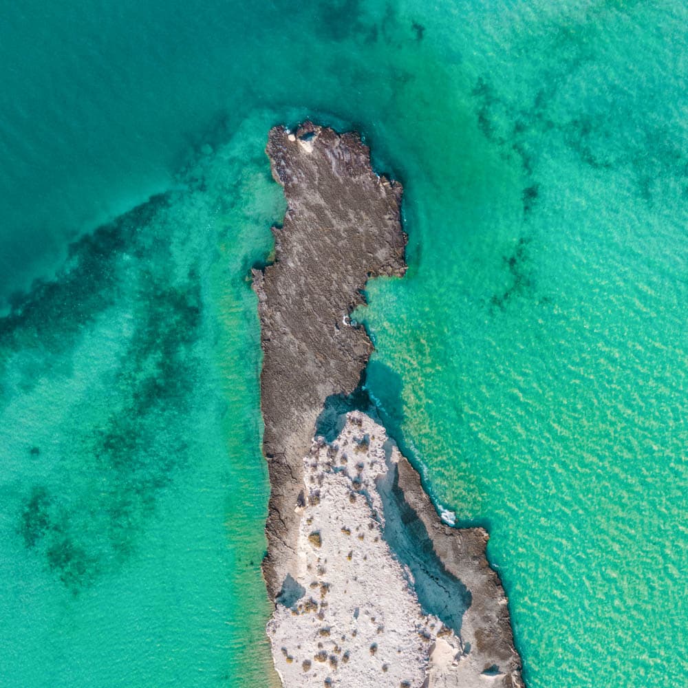 Jubail Mangrove Park — Abu Dhabi, United Arab Emirates, Middle East