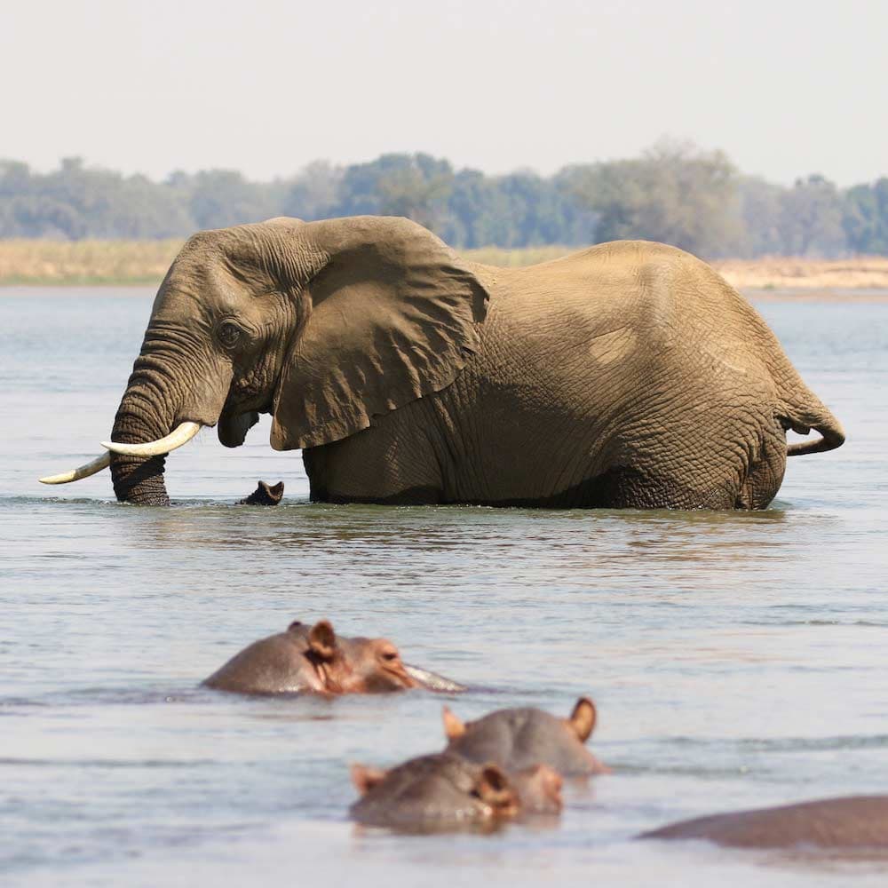 Africa travel guide
