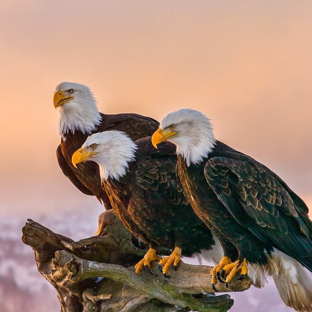 United States