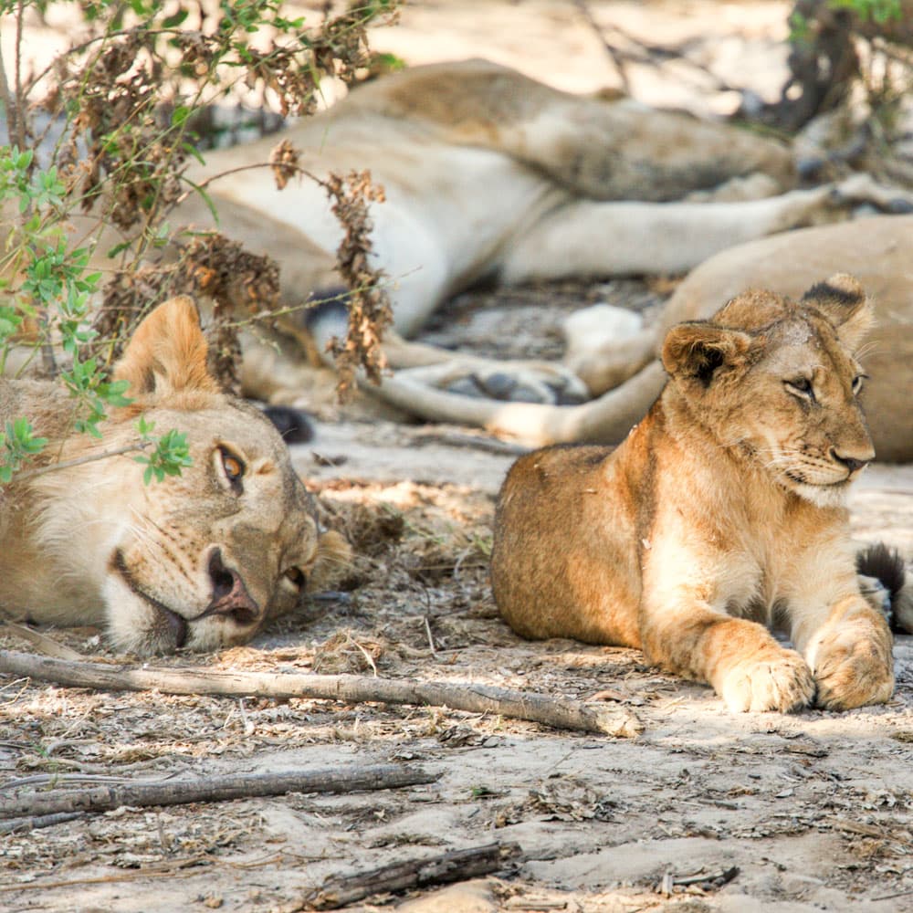 Tanzania