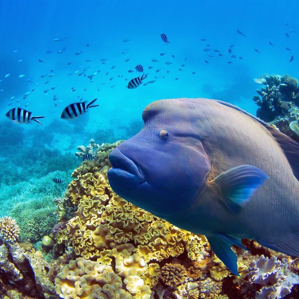 Queensland travel guide