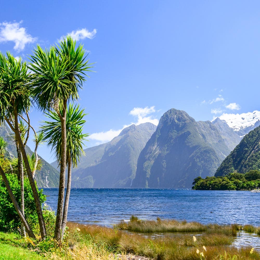 South Island