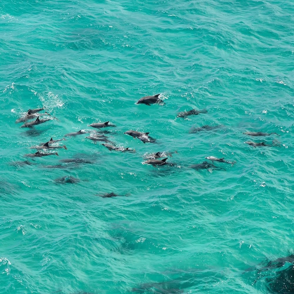 Byron Bay