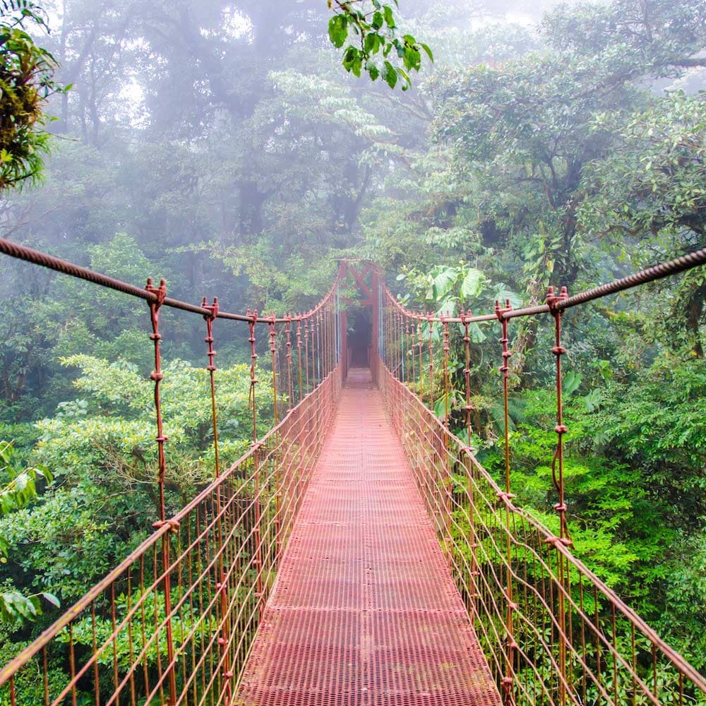 Monteverde — Costa Rica, Central America