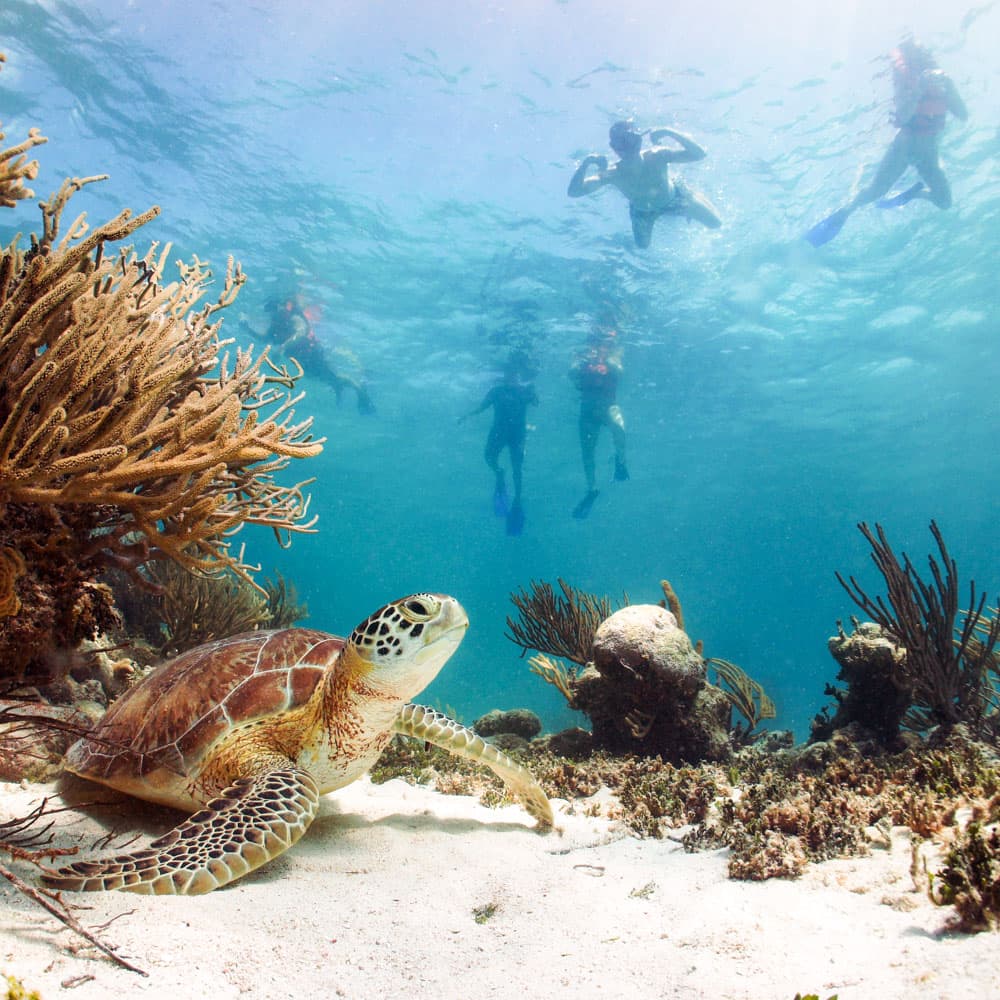 Akumal — Mexico, Central America