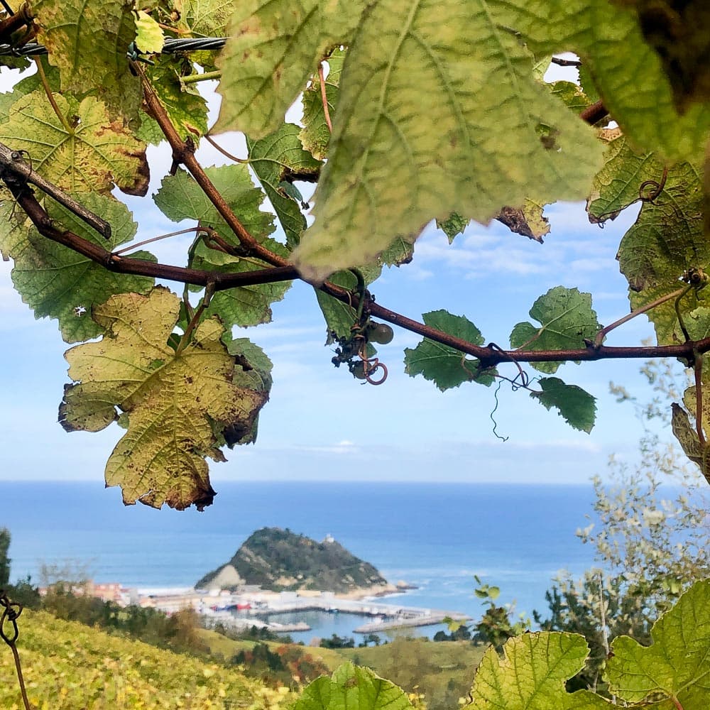 Txakoli Vineyards — San Sebastian, Spain, Western Europe
