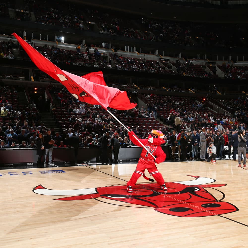 Chicago Bulls at United Center — Chicago, Illinois, United States, North America