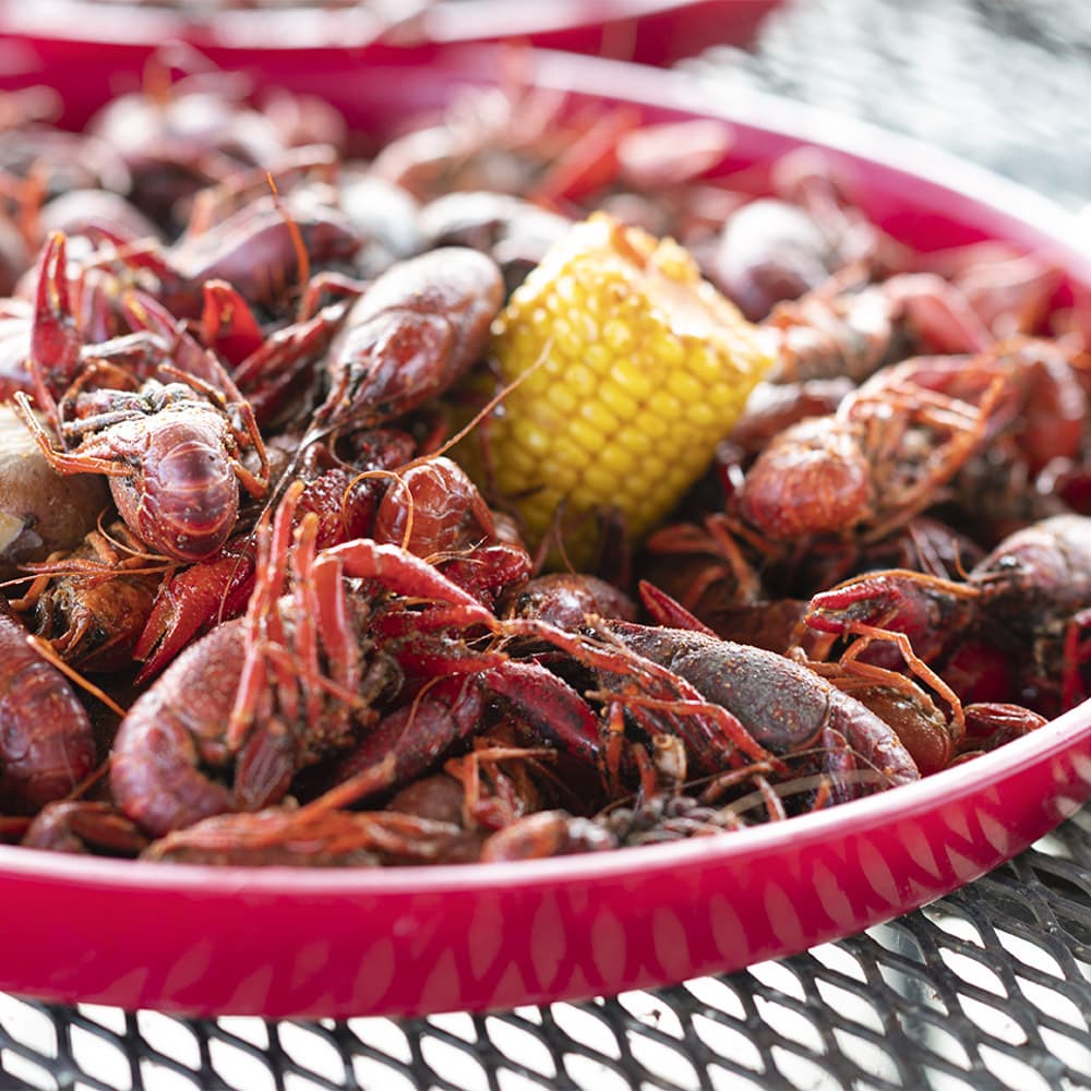 Crawfish Haven — Louisiana, United States, North America