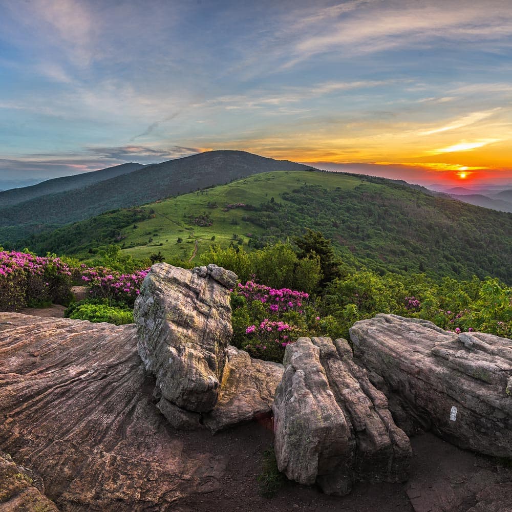 Roan Mountain State Park — Tennessee, United States, North America