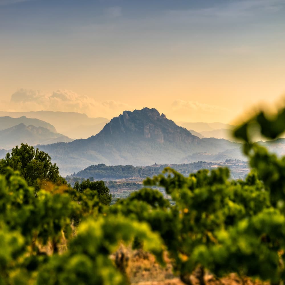 Terres de l'Ebre — Catalonia, Spain, Western Europe
