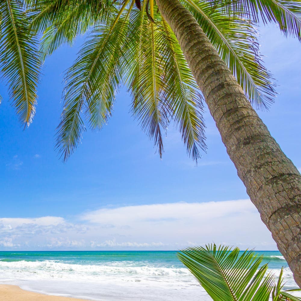 Playa Carmen — Costa Rica, Central America
