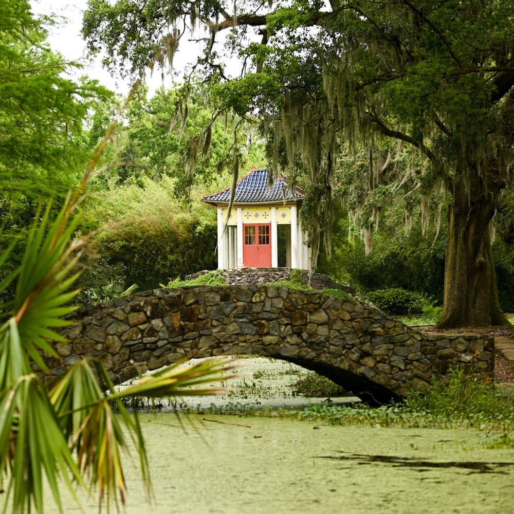 Jungle Gardens — Louisiana, United States, North America