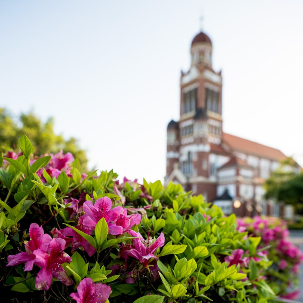 Lafayette Azalea Trail — Louisiana, United States, North America