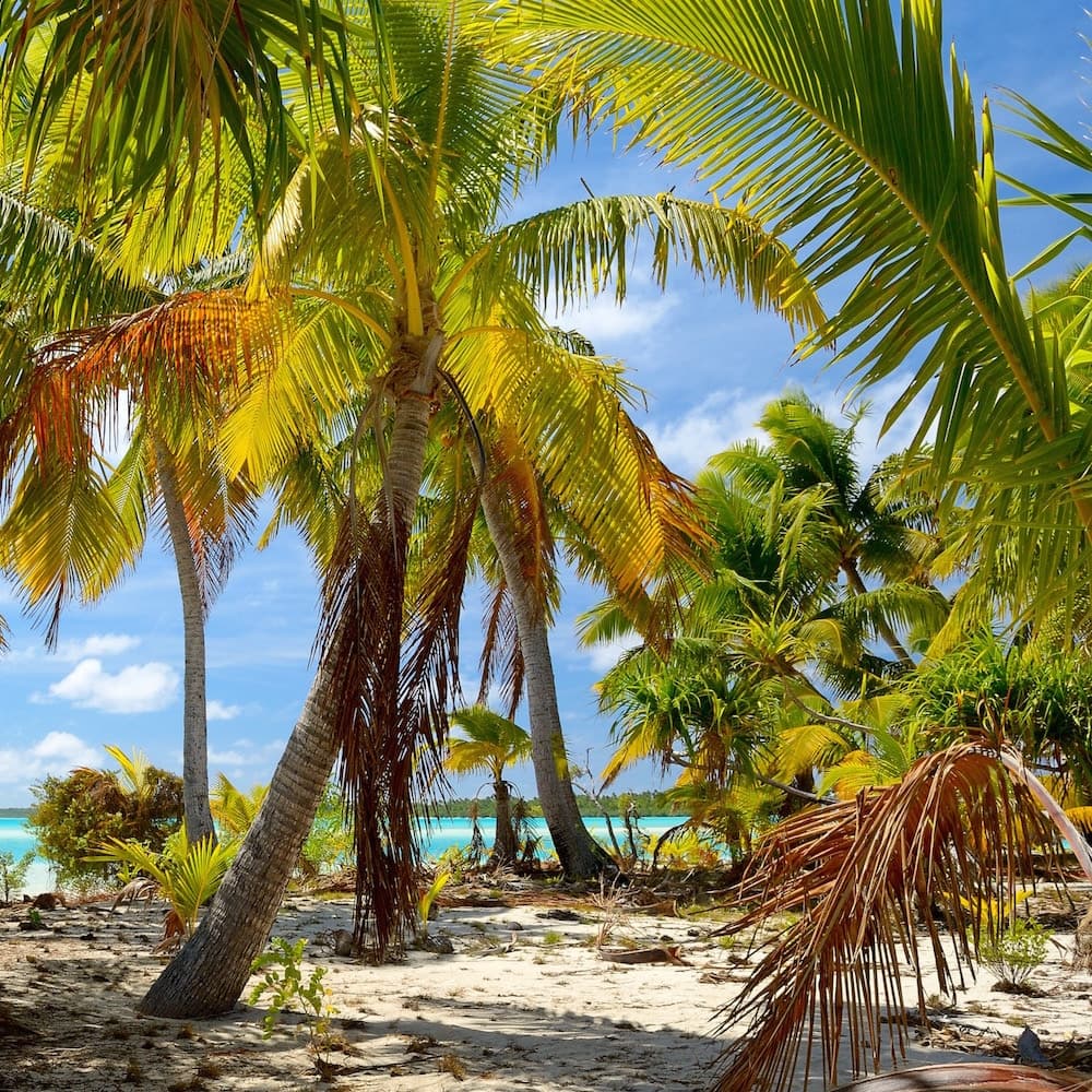 Moturakau — Cook Islands, Oceania