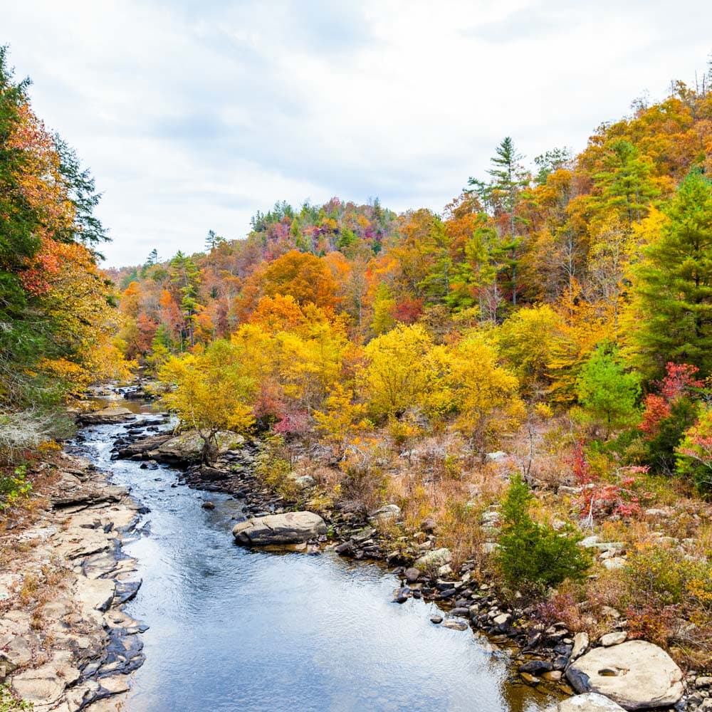 Obed Wild & Scenic River — Tennessee, United States, North America