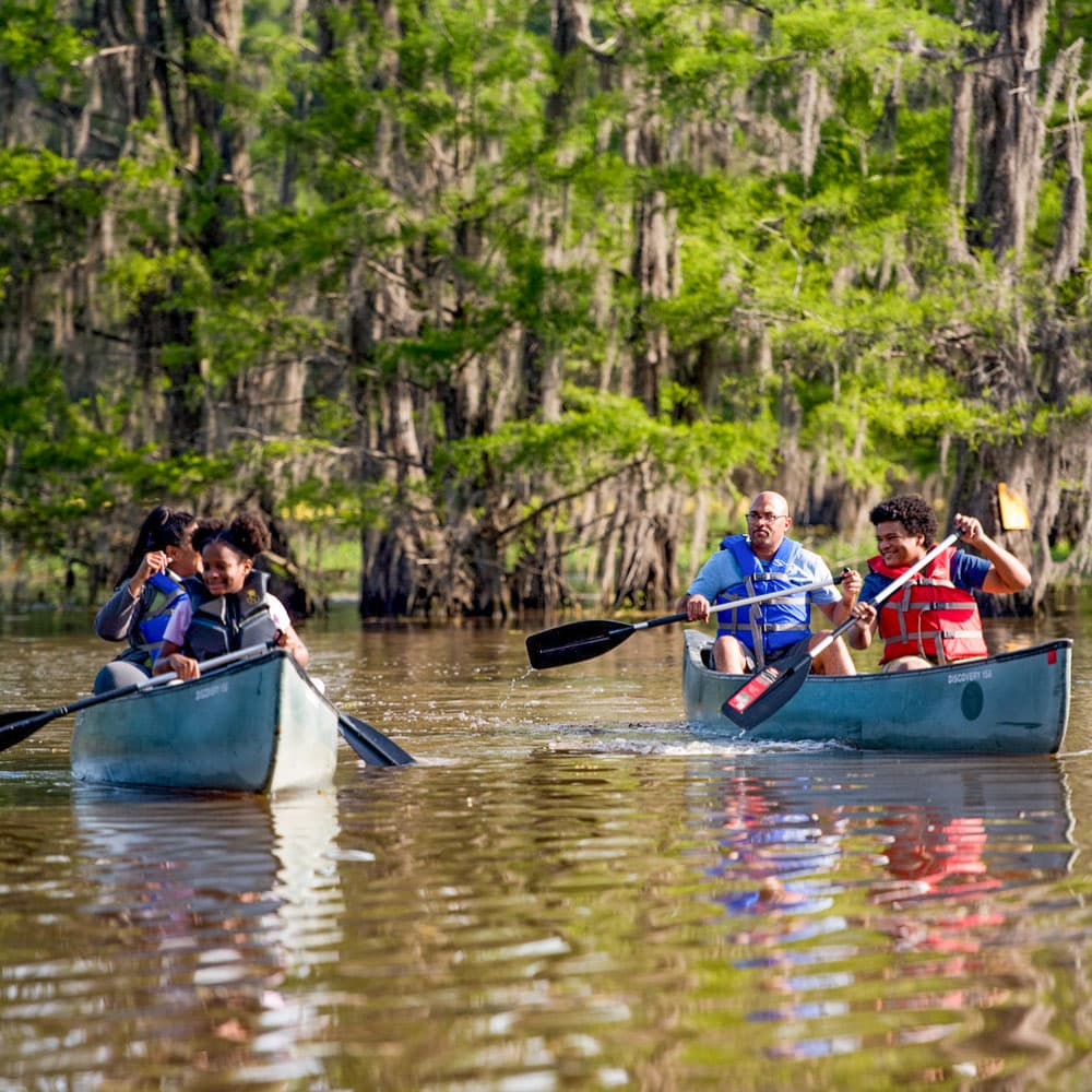 Paddling Louisiana — Louisiana, United States, North America