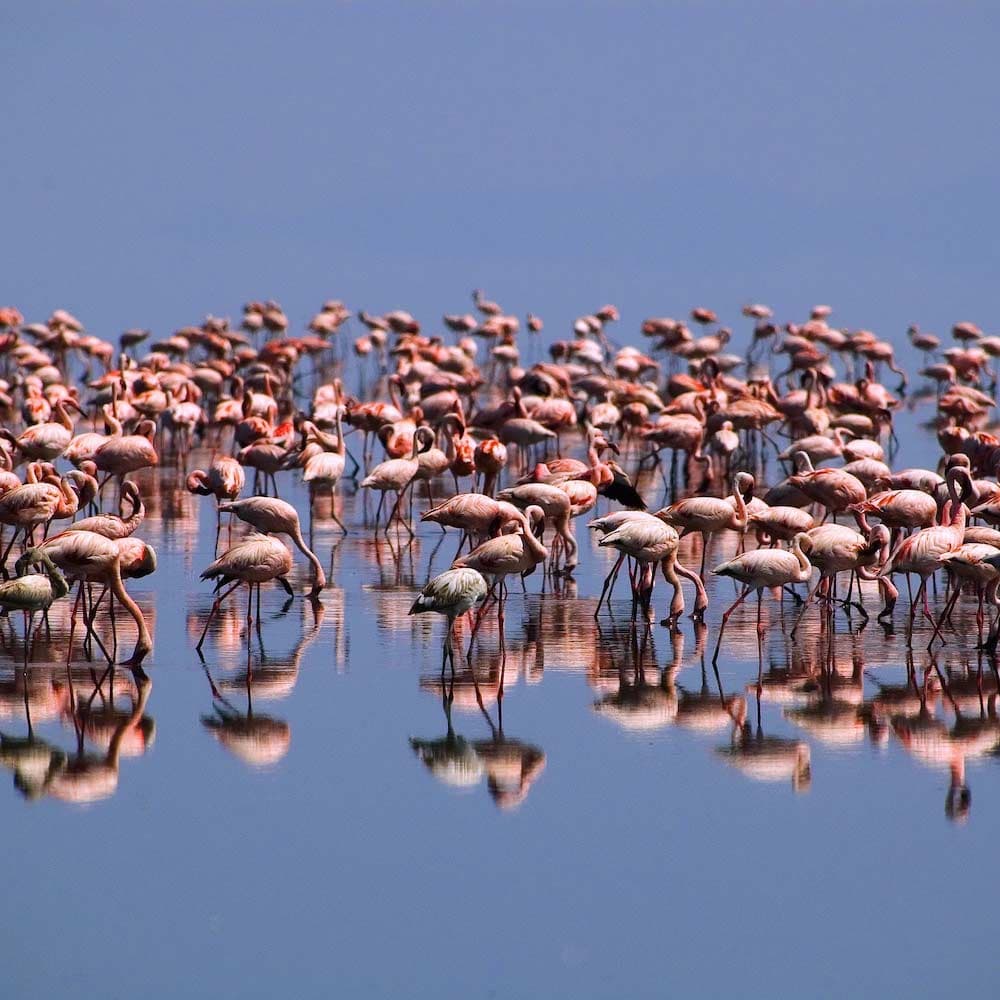 Lake Natron — Tanzania, Africa