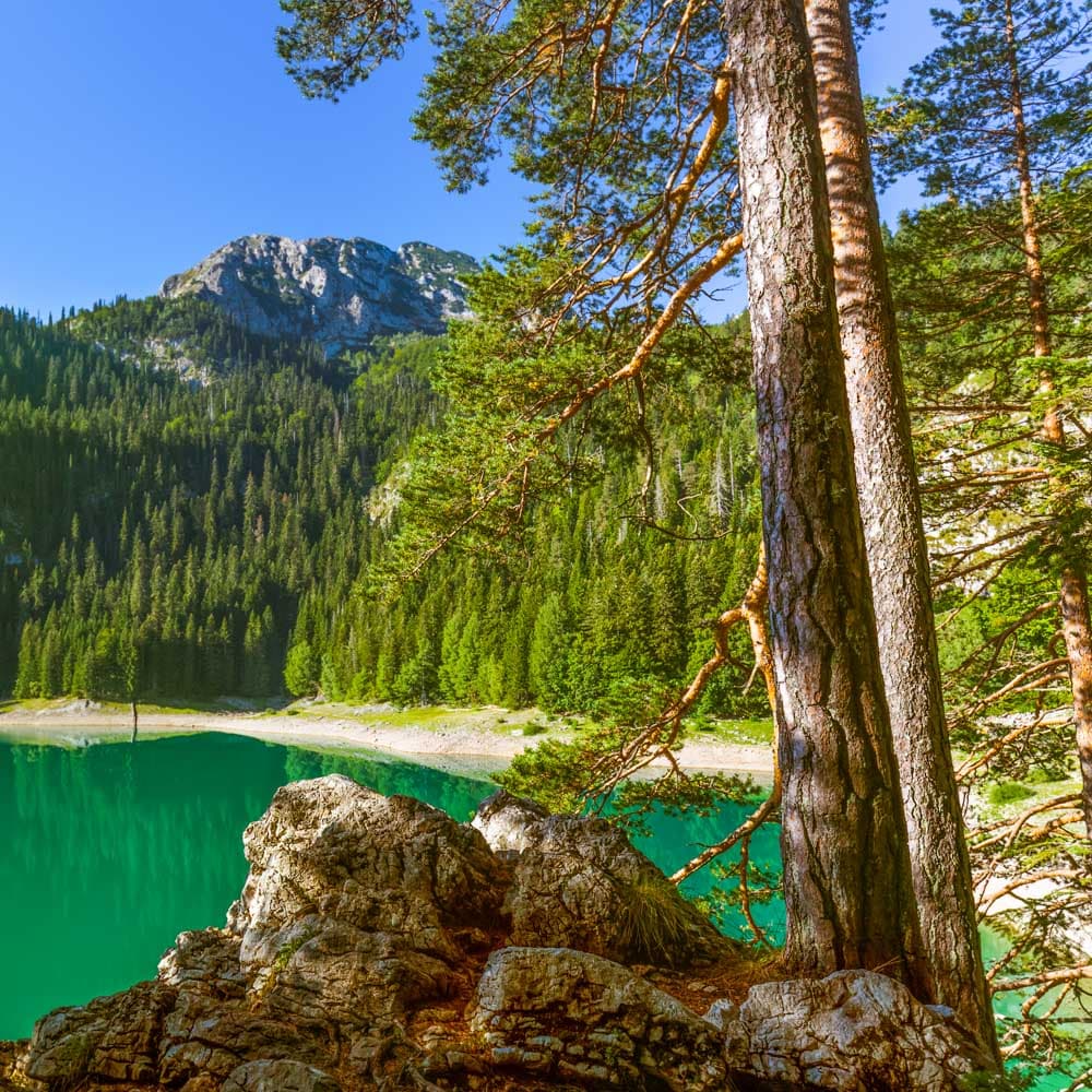 Black Lake — Montenegro, Eastern Europe