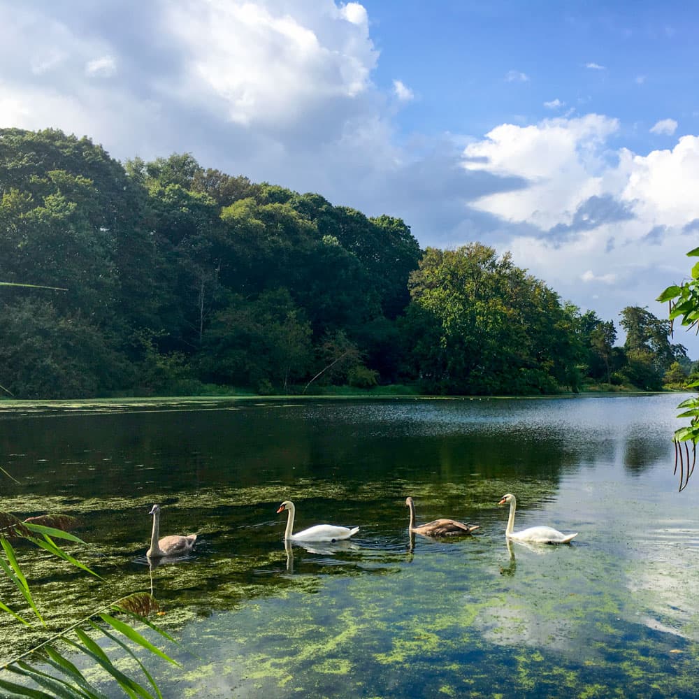 Frank Melville Memorial Park — Long Island, New York, United States, North America