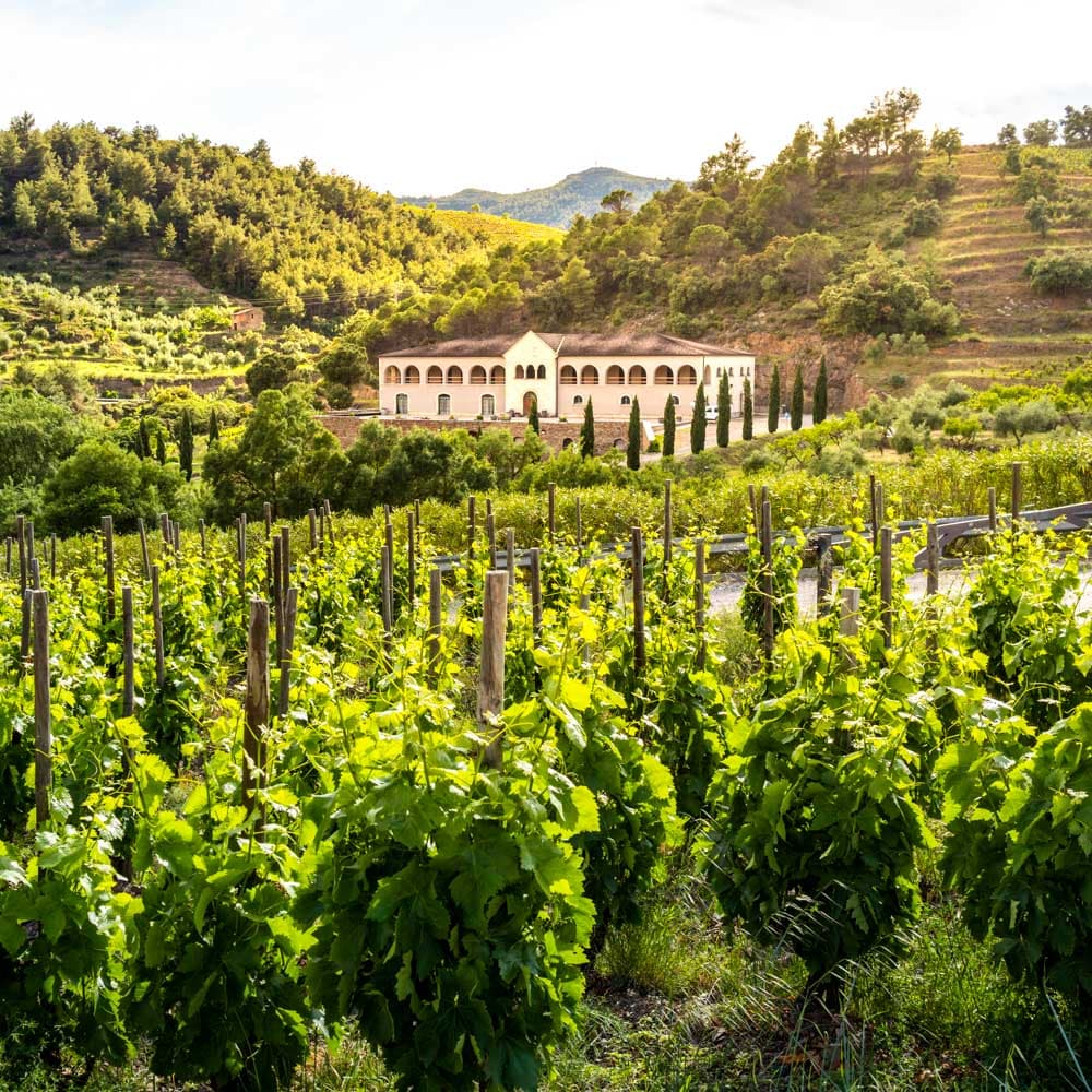 Gratallops — Catalonia, Spain, Western Europe