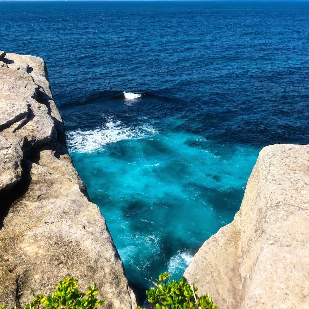Bondi to Bronte Coastal Walk — Sydney, New South Wales, Australia, Oceania