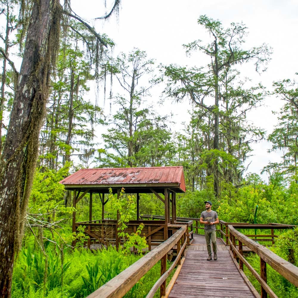 Jean Lafitte Wetland Trace — Louisiana, United States, North America