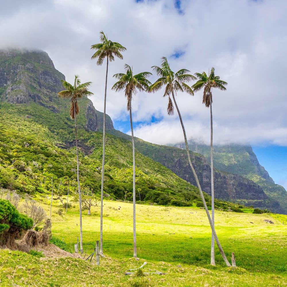 Mount Lidgbird — Lord Howe Island, New South Wales, Australia, Oceania
