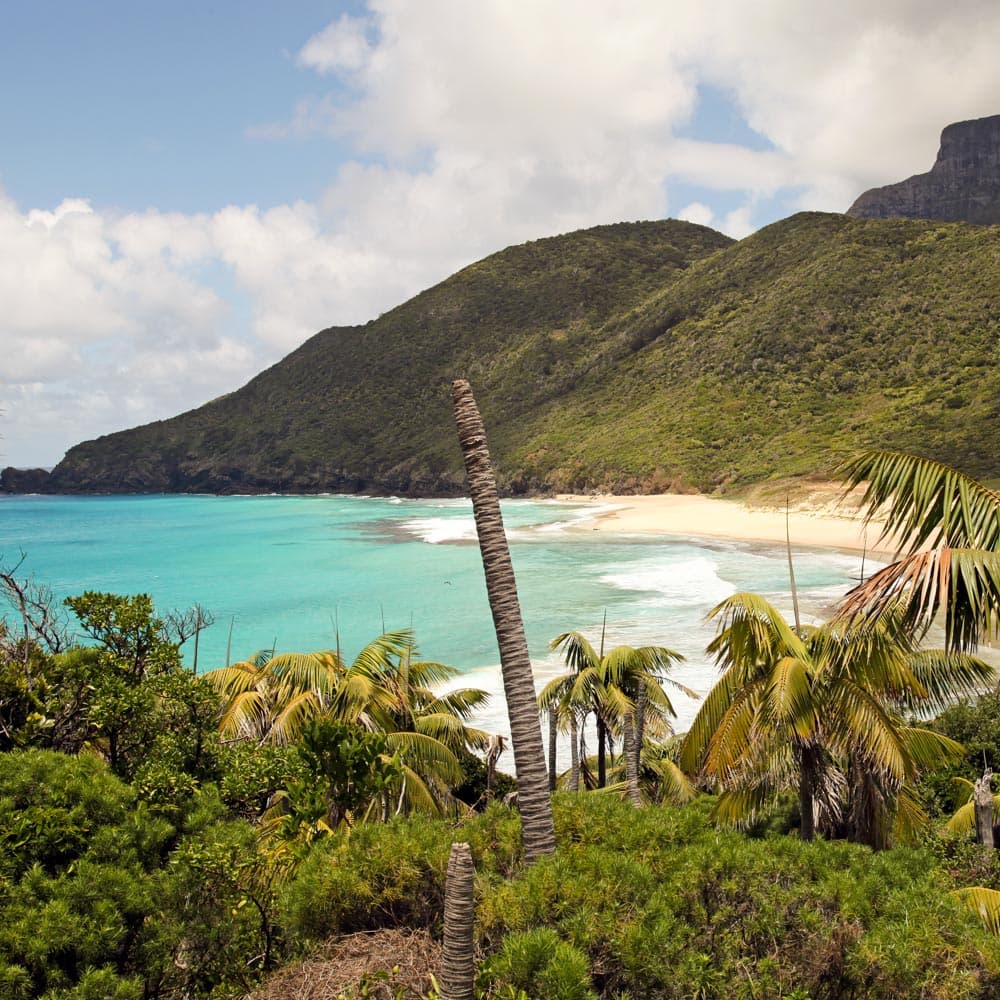 Blinky Beach — Lord Howe Island, New South Wales, Australia, Oceania