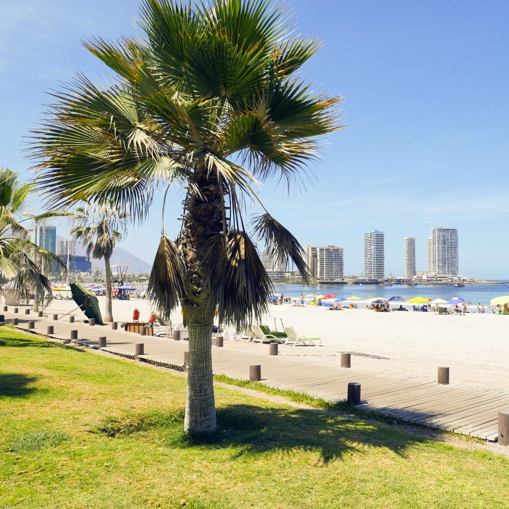 Iquique — Chile, South America